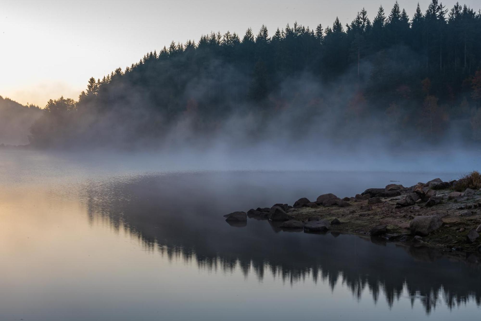 Апартаменты Fewo Sunneschii, Hoechenschwand, Dorf Am Himmel, Sauna Im Haus Экстерьер фото