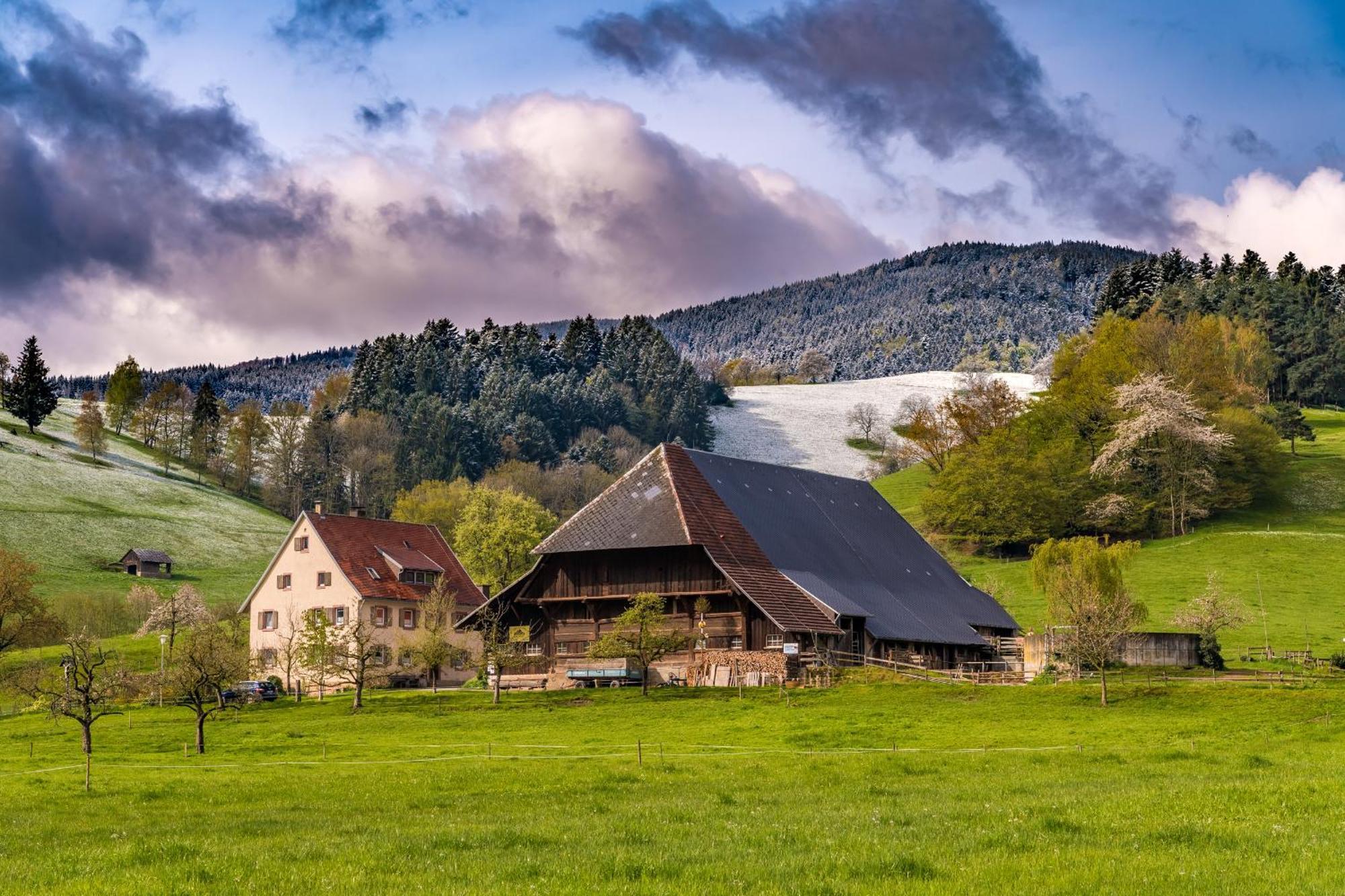 Апартаменты Fewo Sunneschii, Hoechenschwand, Dorf Am Himmel, Sauna Im Haus Экстерьер фото